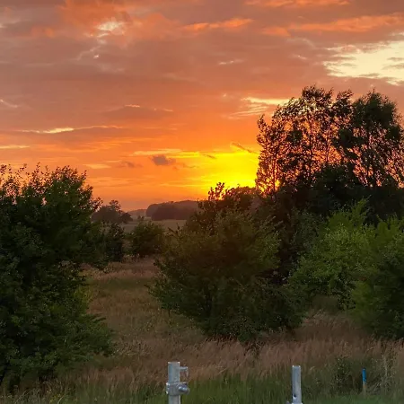 Exklusives Kranichblick Dreschvitz